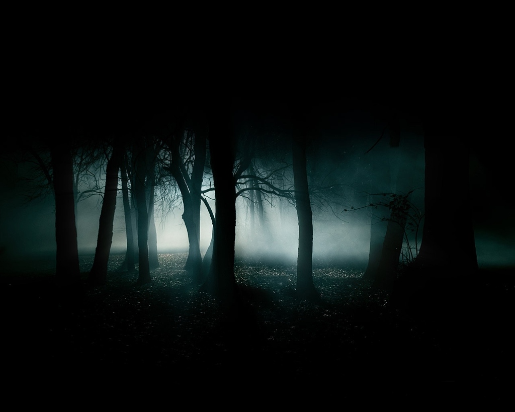 dark-forest-night-image-31002.jpg